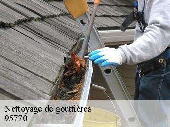 Nettoyage de gouttières  95770