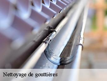 Nettoyage de gouttières  95770